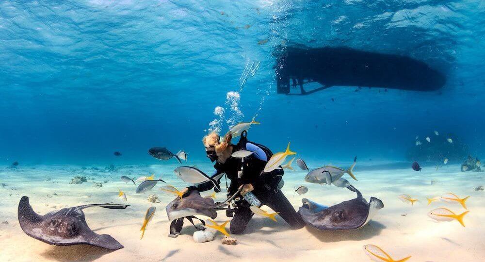 Scuba Diving di Indonesia
